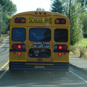 I Saw a Child on the School Bus Hitting the Back Window and Yelling for Help