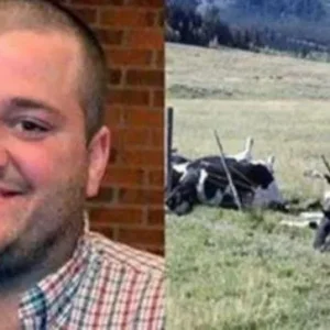 Farmer And 16 Cows Found Dead, Cause Of Death Finally Discovered